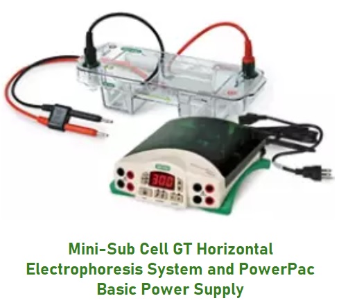 Mini-Sub Cell GT Horizontal Electrophoresis System and PowerPac Basic Power Supply