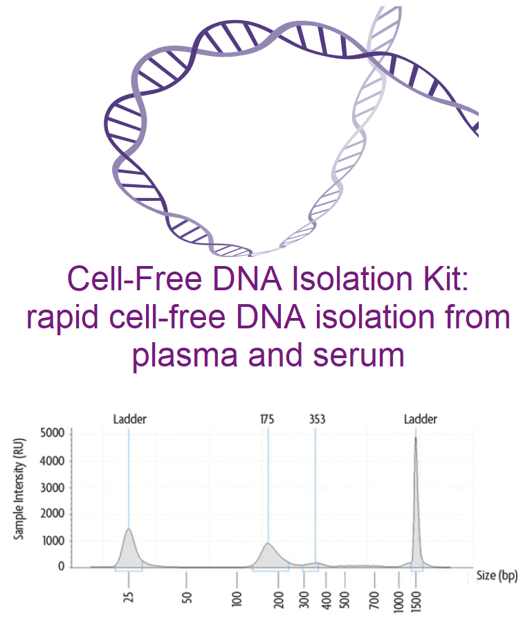 Cell-Free DNA (cfDNA) Purification Kit