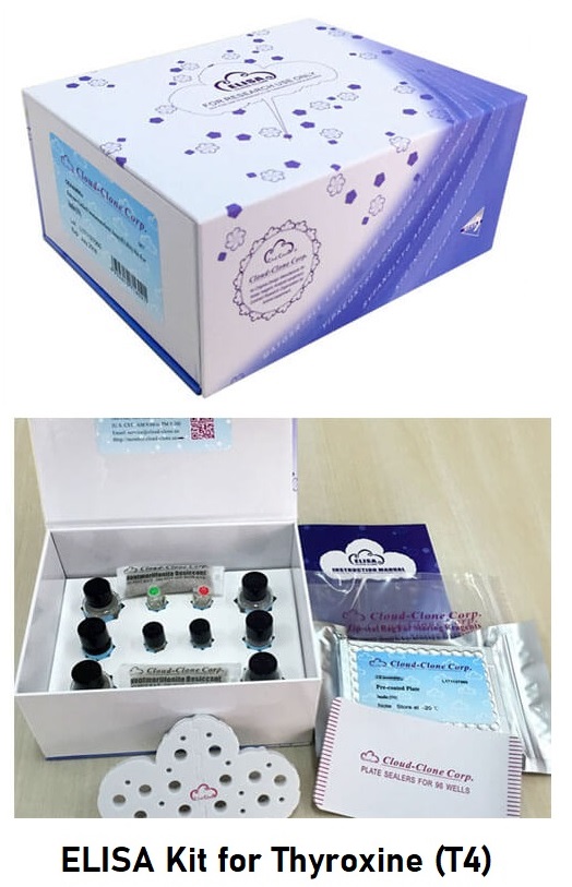ELISA Kit for Thyroxine (T4)