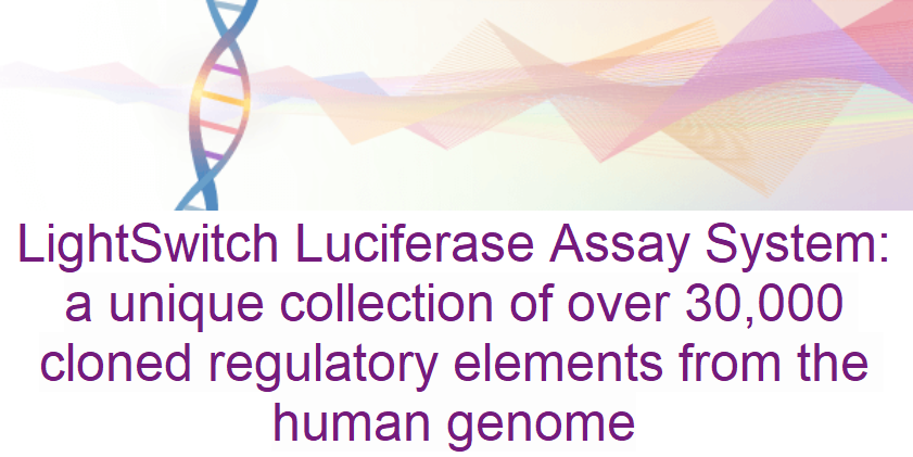 LightSwitch Luciferase Reporter Assay System Reagents