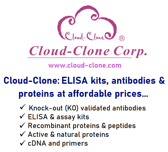Cloud-Clone Products