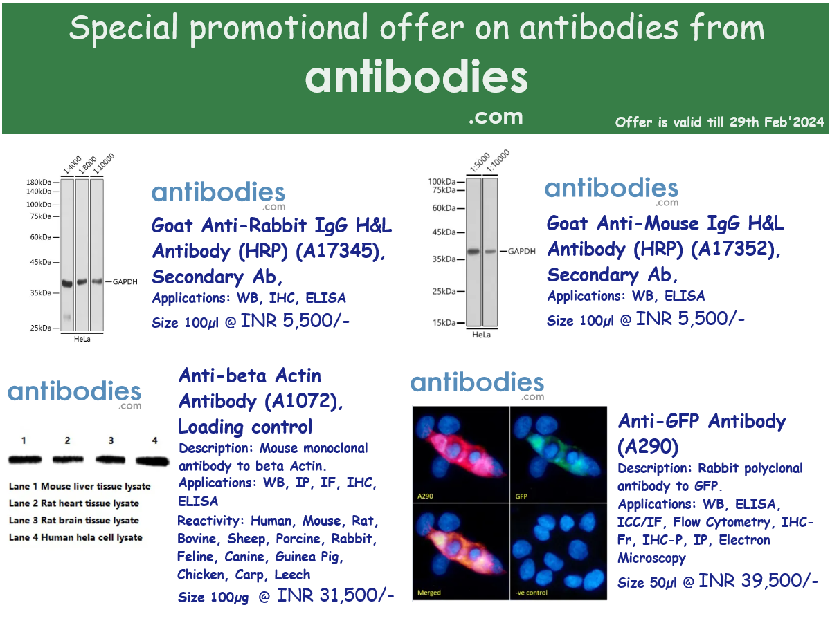 Offer on Antibodies com