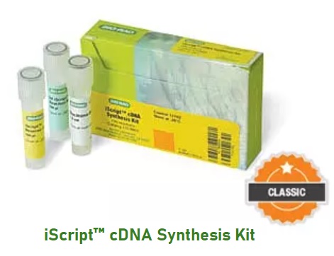 iScript™ cDNA Synthesis Kit