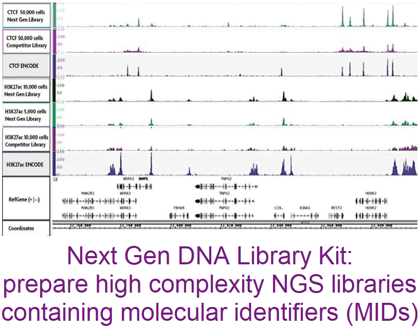 Next Gen DNA Library Kit