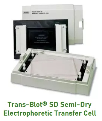 Trans-Blot® SD Semi-Dry Electrophoretic Transfer Cell