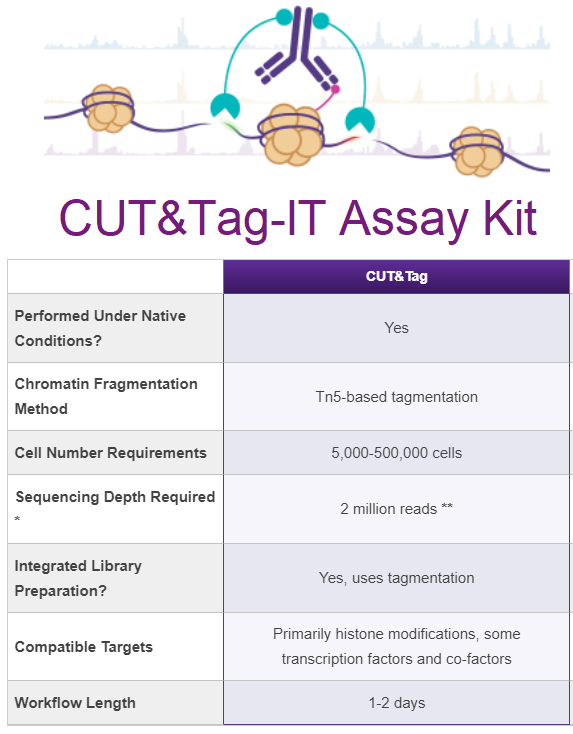 CUT&Tag-IT™ Assay Kit