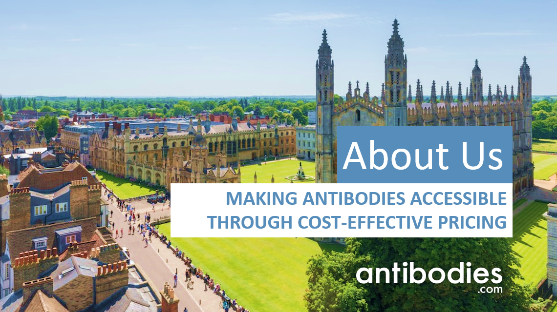Certificate of Excellemce_Antibodies.com