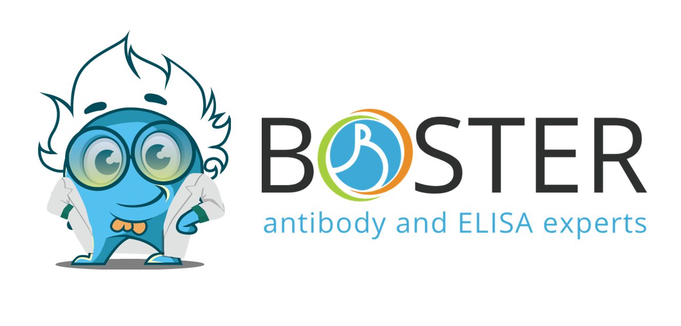 Boster Bio